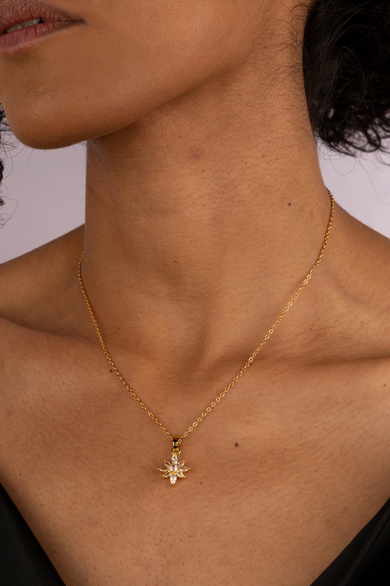 Collar Golden Star