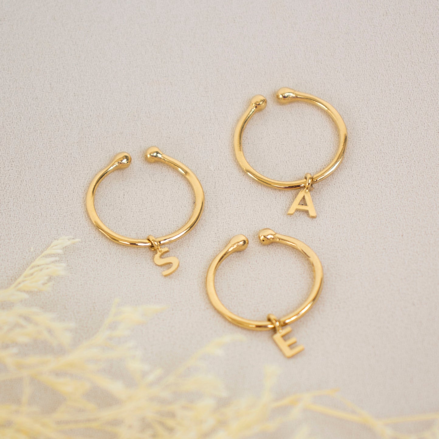 Anillo Inicial Shine